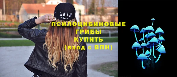 МДПВ Карпинск
