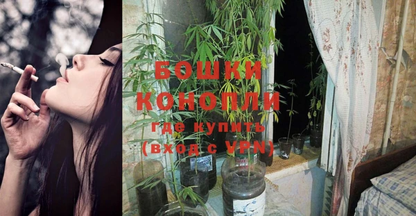 индика Касимов