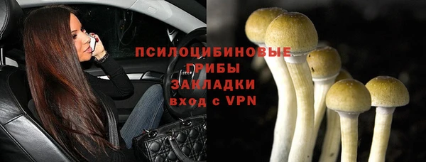 МДПВ Карпинск