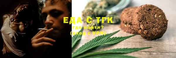 индика Касимов