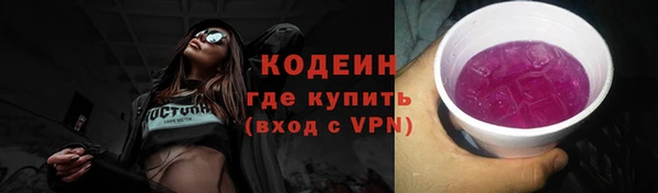 индика Касимов
