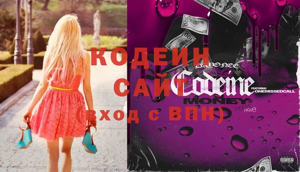 индика Касимов