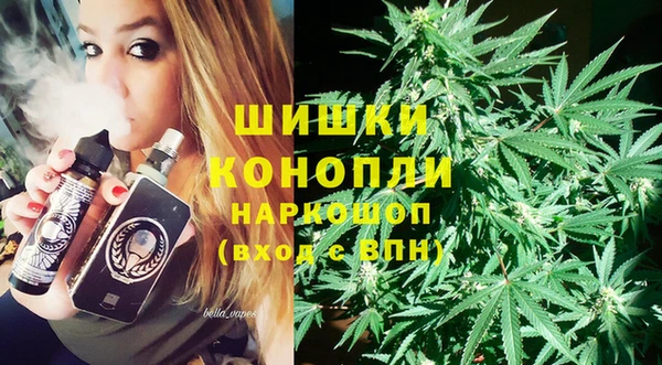 индика Касимов