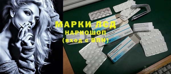 индика Касимов