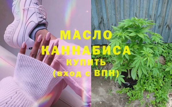 индика Касимов