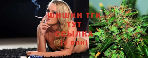 МДПВ Карпинск