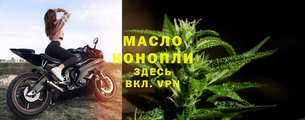 МДПВ Карпинск